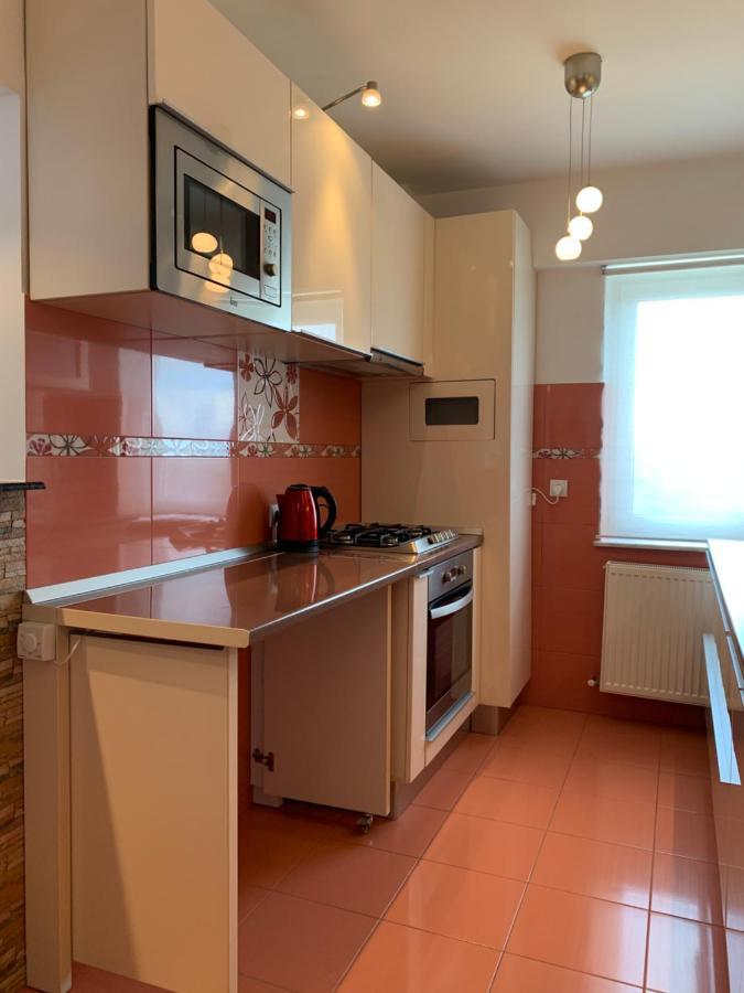 Sunny Central Apartments Suceava Buitenkant foto